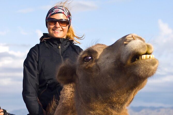 Agadir Camel Ride Tour - Who Should Consider This Tour?