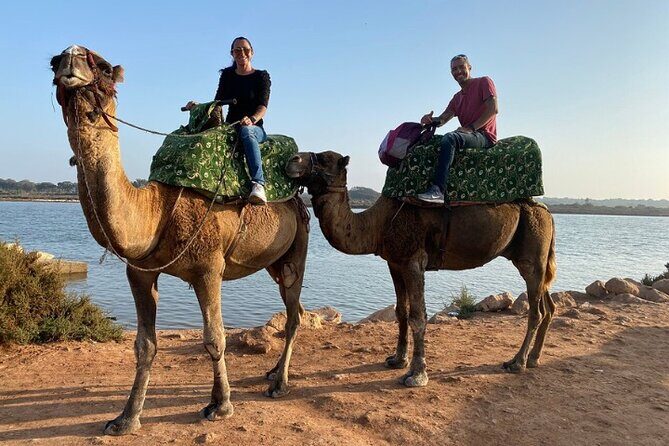 Agadir Camel Ride with BBQ and Couscous - Final Thoughts