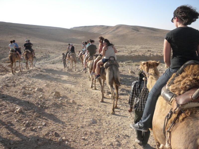 Agadir: Camel Ride With Tea - A Detailed Look at the Tour