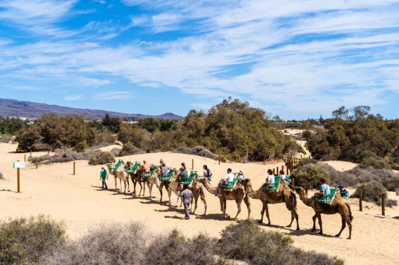 Agadir: Camel Ride With Tea - Real Experiences from Travelers