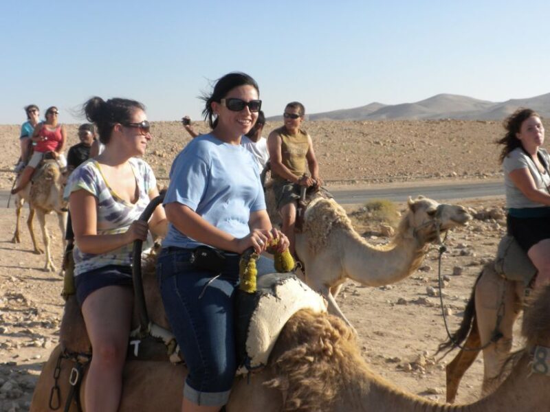 Agadir: Camel Ride With Tea - Practical Tips for Travelers