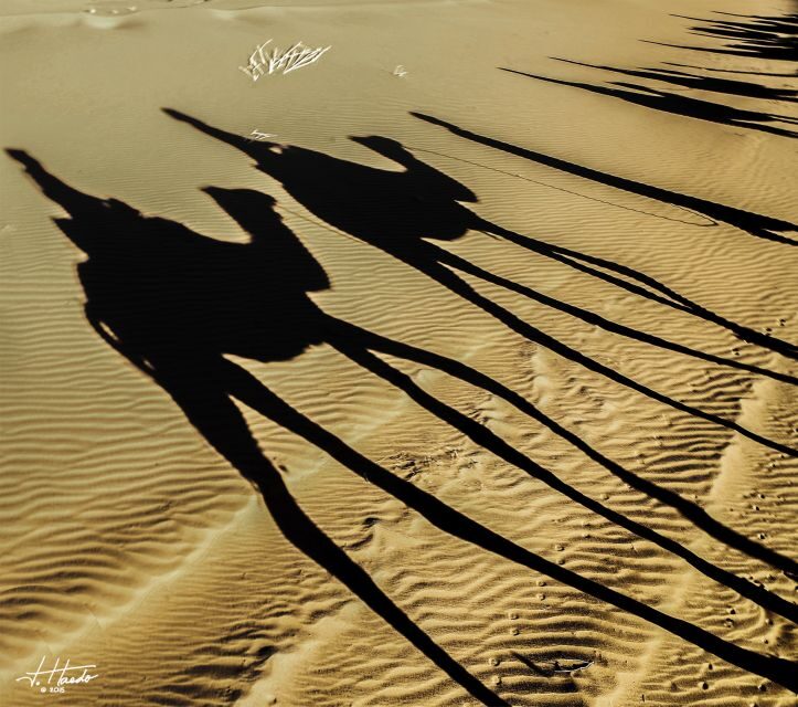 Agadir: Camel Ride With Tea - FAQ