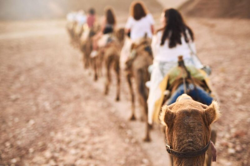 Agadir: Camel Ride With Tea & BBQ Dinner Option - An In-Depth Look at the Tour Experience