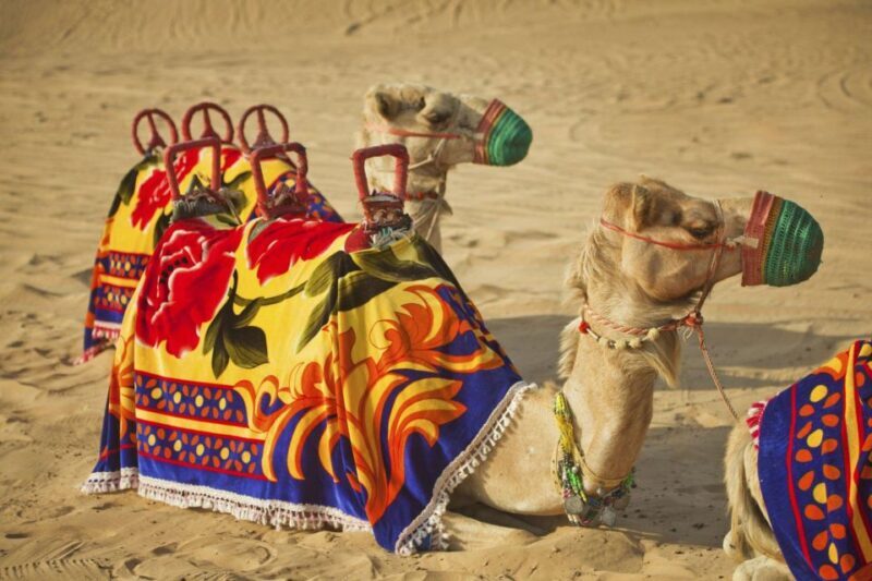 Agadir: Camel Ride With Tea & BBQ Dinner Option - FAQs