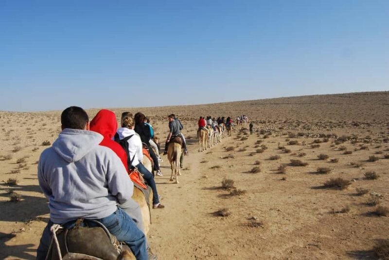 Agadir: Camel Ride With Tea & BBQ Dinner Option - The Experiences Best Features
