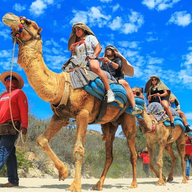 Agadir: Camel Ride With Tea & BBQ Dinner Option - Key Points