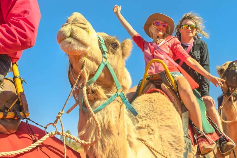 Agadir: Camel Ride With Tea & BBQ Dinner Option - What to Expect During the Camel Ride