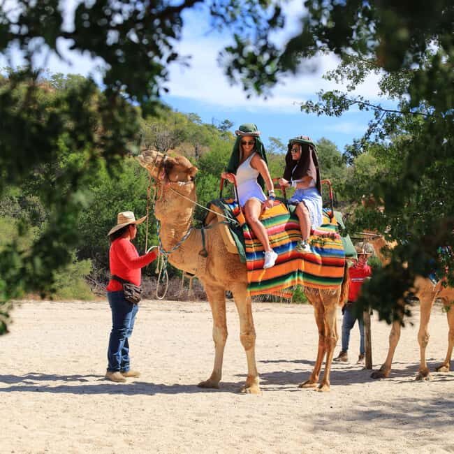 Agadir: Camel Ride With Tea & BBQ Dinner Option - The Mint Tea and Optional BBQ Dinner