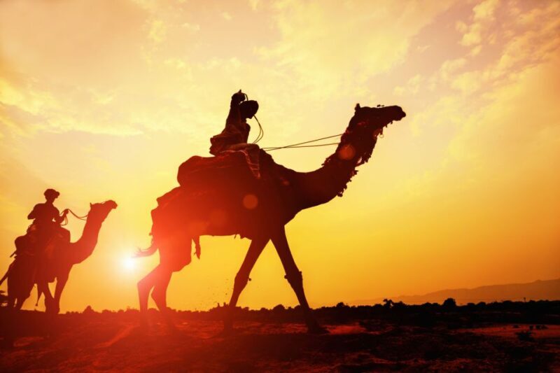Agadir: Camel Ride With Tea & BBQ Dinner Option - What Travelers Are Saying