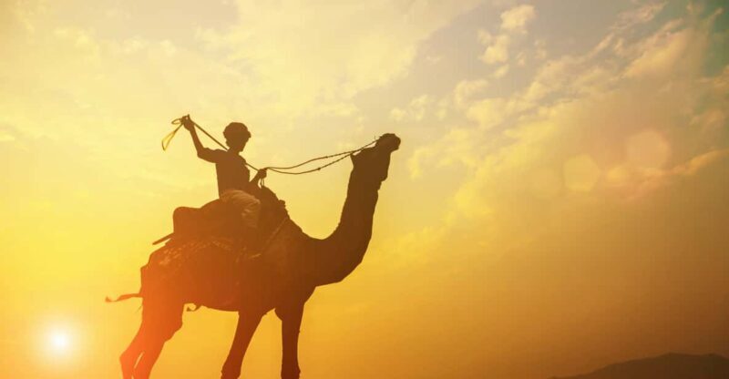 Agadir: Camel Ride With Tea - What to Expect From This Tour