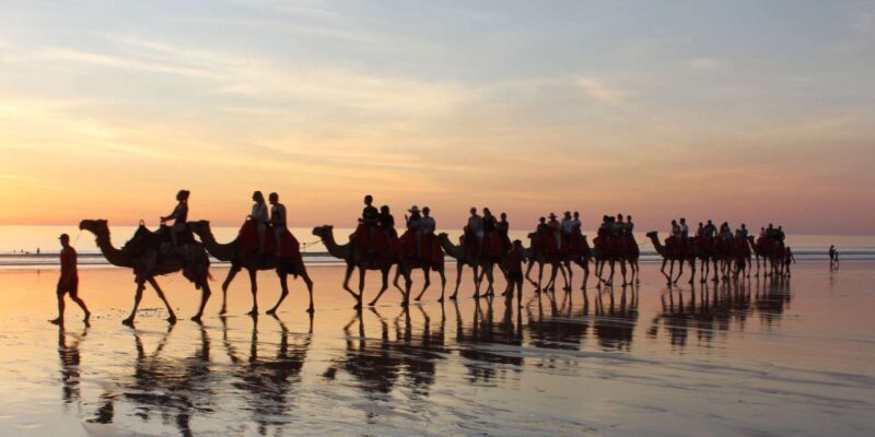 Agadir: Camel Ride With Tea - Transportation and Group Size