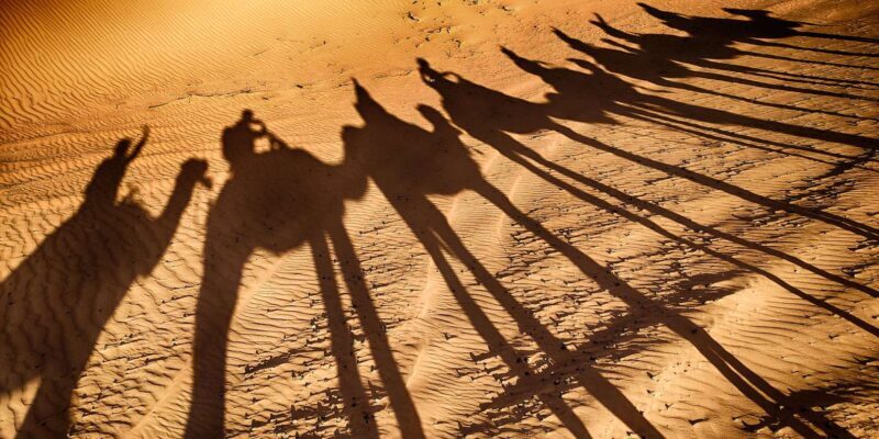 Agadir: Camel Ride With Tea - Authenticity and Cultural Experience