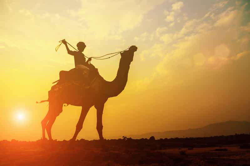 Agadir: Camel Ride With Tea - Price and Value