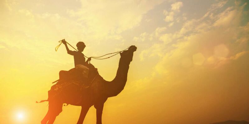 Agadir: Camel Ride With Tea - Who Should Consider This Tour?
