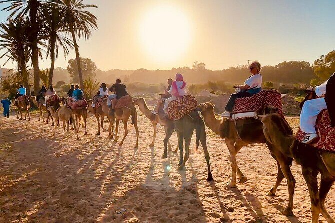 Agadir Camel Riding and flamingo river tour - Frequently Asked Questions