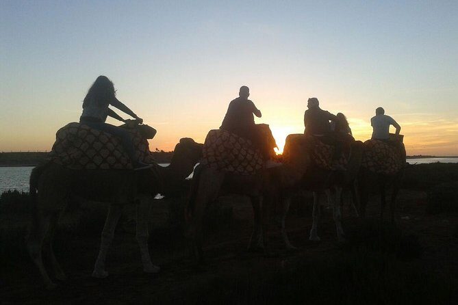 Agadir Camel Riding +Sunset and Dinner( barbecue) - Authentic Experiences and Traveler Perspectives