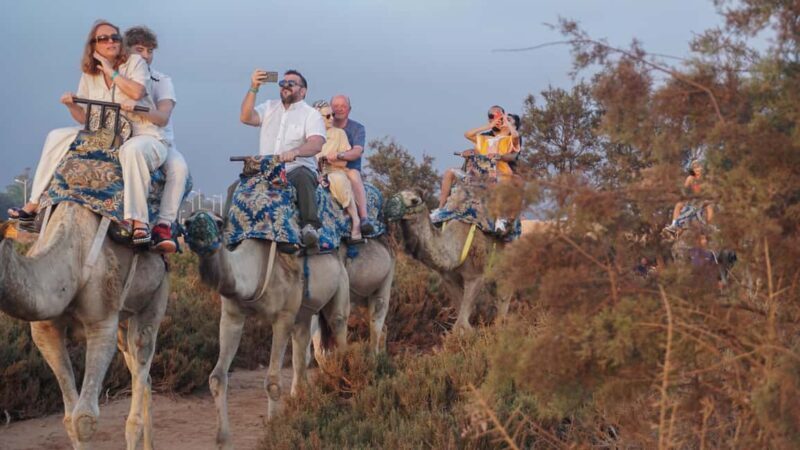 Agadir: Camel Riding Tour with Tea Drink - What You Can Expect from the Tour