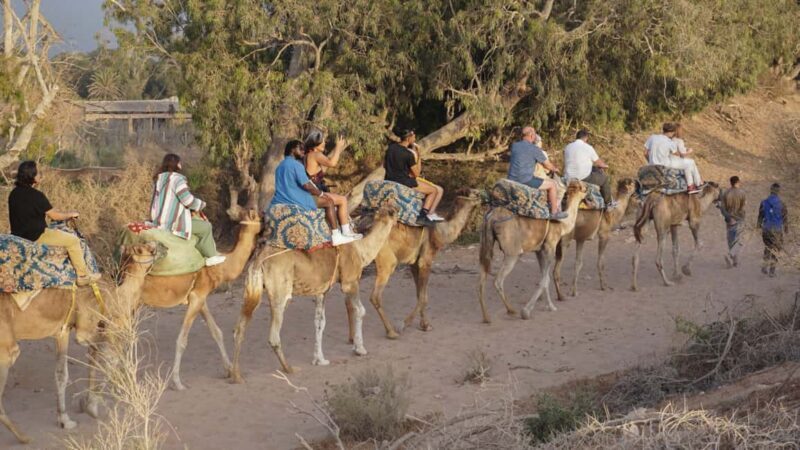Agadir: Camel Riding Tour with Tea Drink - Price and Value for Money