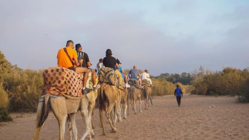 Agadir: Camel Riding Tour with Tea Drink - Practical Tips