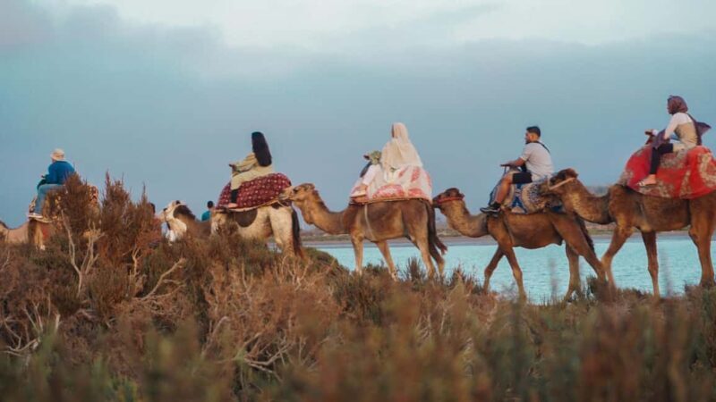 Agadir: Camel Riding Tour with Tea Drink - Authentic Experiences and Mixed Reviews