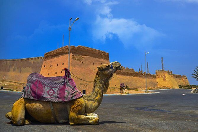 Agadir City Tour - FAQ: Common Questions About the Agadir City Tour