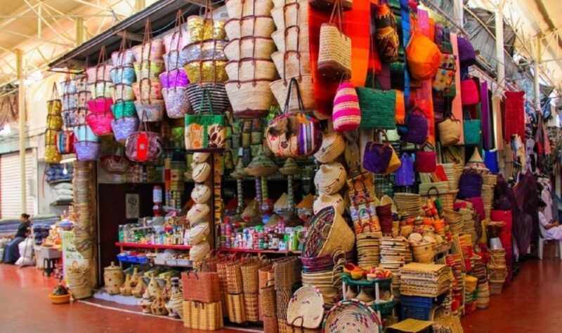 Agadir City Tour & Crocodile Park Adventure & Entry Ticket - Authentic Experiences and Honest Reviews