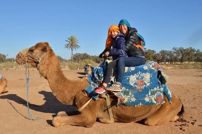 Agadir city tour & Medina, cable car, Crocoparc with hotel pickup - FAQ