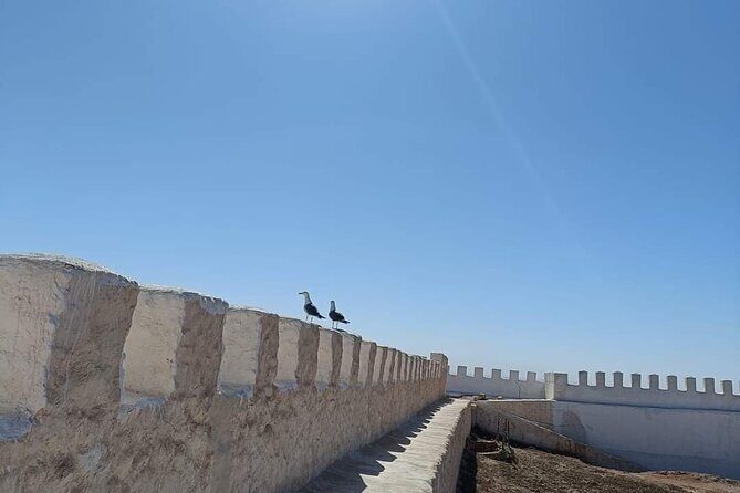 Agadir City Tour whit medina polizzi and Cable car Ride - Who Will Love This Tour?