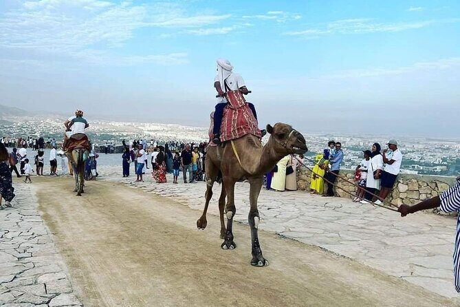Agadir city Tour with big Souk Elhad - Who Will Enjoy This Tour?