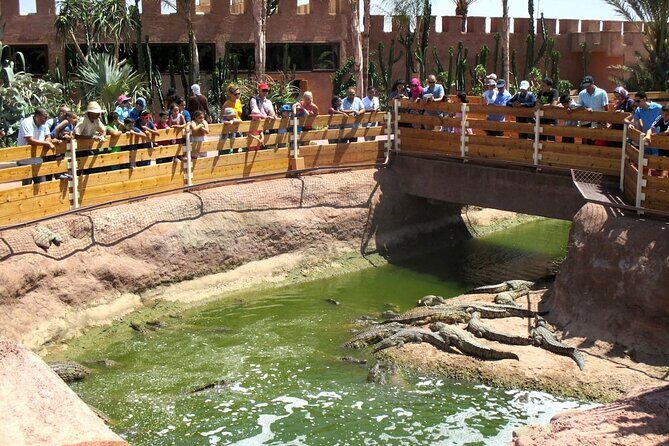 Agadir Crocodile Park Adventure - FAQs