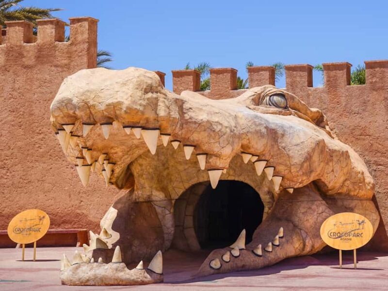 Agadir: Crocoparc Entry Ticket with Transfers, Guide, & Tea - FAQ: Your Questions About Crocoparc in Agadir