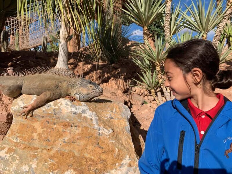 Agadir: Crocoparc Skip-the-Line Entry Ticket - An In-Depth Look at Crocoparc Agadir
