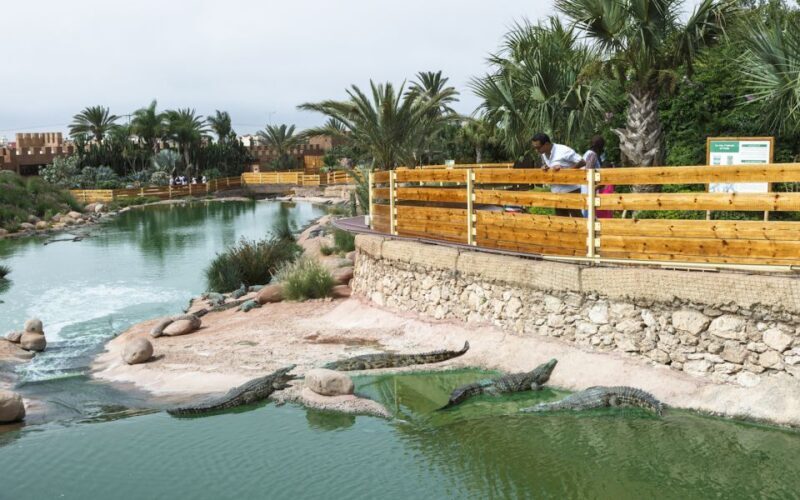 Agadir Crocoparc: Ticket and Transfer - Visitor Reviews and Insights