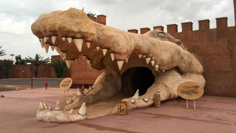 Agadir Crocoparc: Ticket and Transfer - Practical Tips for Visiting Crocoparc