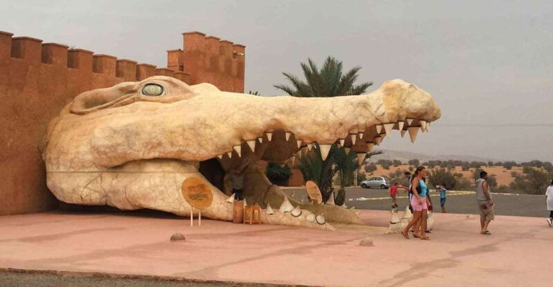 Agadir Crocoparc: Ticket and Transfer - Who Should Consider This Tour?