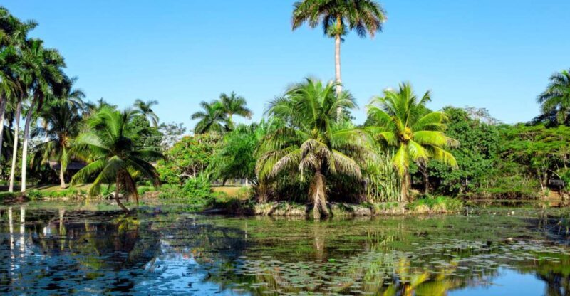 Agadir Crocoparc: Ticket and Transfer - What You Will Experience