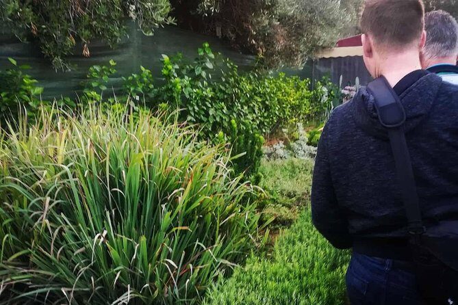 Agadir Day Trip To Paradise Valley - Authentic Feedback from Travelers