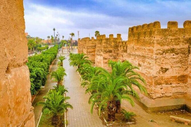 Agadir Day Trip to Taroudant and Tiout Oasis with Lunch - An In-Depth Look at the Tour Itinerary