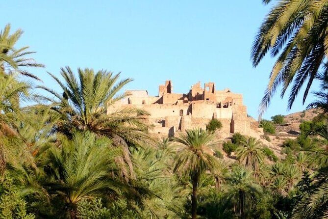 Agadir Day Trip to Taroudant and Tiout Oasis with Lunch - Practical Tips for Future Travelers