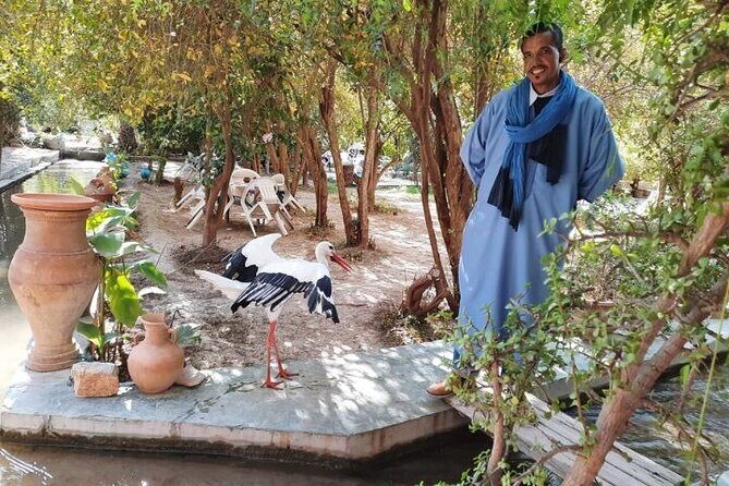 Agadir Day Trip to Taroudant and Tiout Oasis with Lunch - Who Should Consider This Tour?