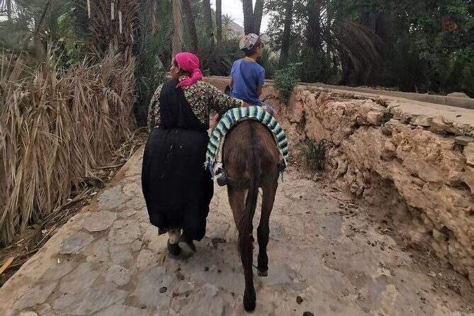 Agadir Day Trip to Taroudant and Tiout Oasis with Lunch - FAQ
