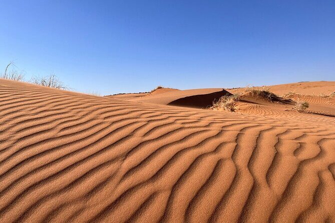 Agadir desert in a 4X4 with lunch experience - Key Points