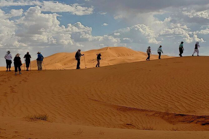 Agadir Desert Safari Day Trip with Lunch and Agadir City Tour - The Sum Up