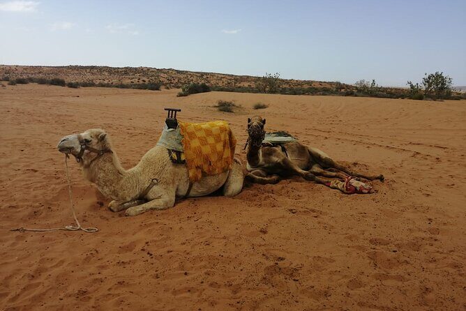 Agadir Desert Tour 4x4 with lunch - What Do Travelers Say?
