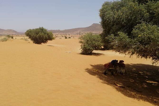 Agadir Desert Tour 4x4 with lunch - FAQ