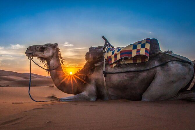 Agadir Desert Trip With Lunch - Key Points