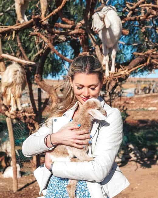 Agadir: Discover Argan Tree-Climbing Goats on a Morning Tour - Key Points