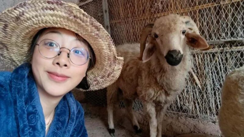Agadir: Ecofarm Tour with Cooking Class and Lunch - Introduction: A Genuine Taste of Moroccan Countryside