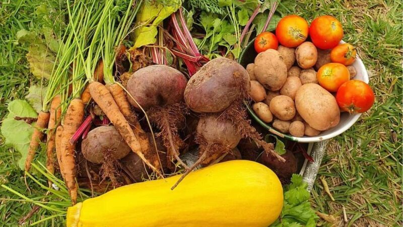 Agadir: Ecofarm Tour with Cooking Class and Lunch - Practical Details & Value