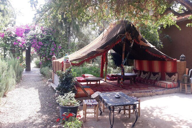 Agadir Excursion to Paradis Valley & Atlas Mantains with lunch - Who Would Enjoy This Tour?